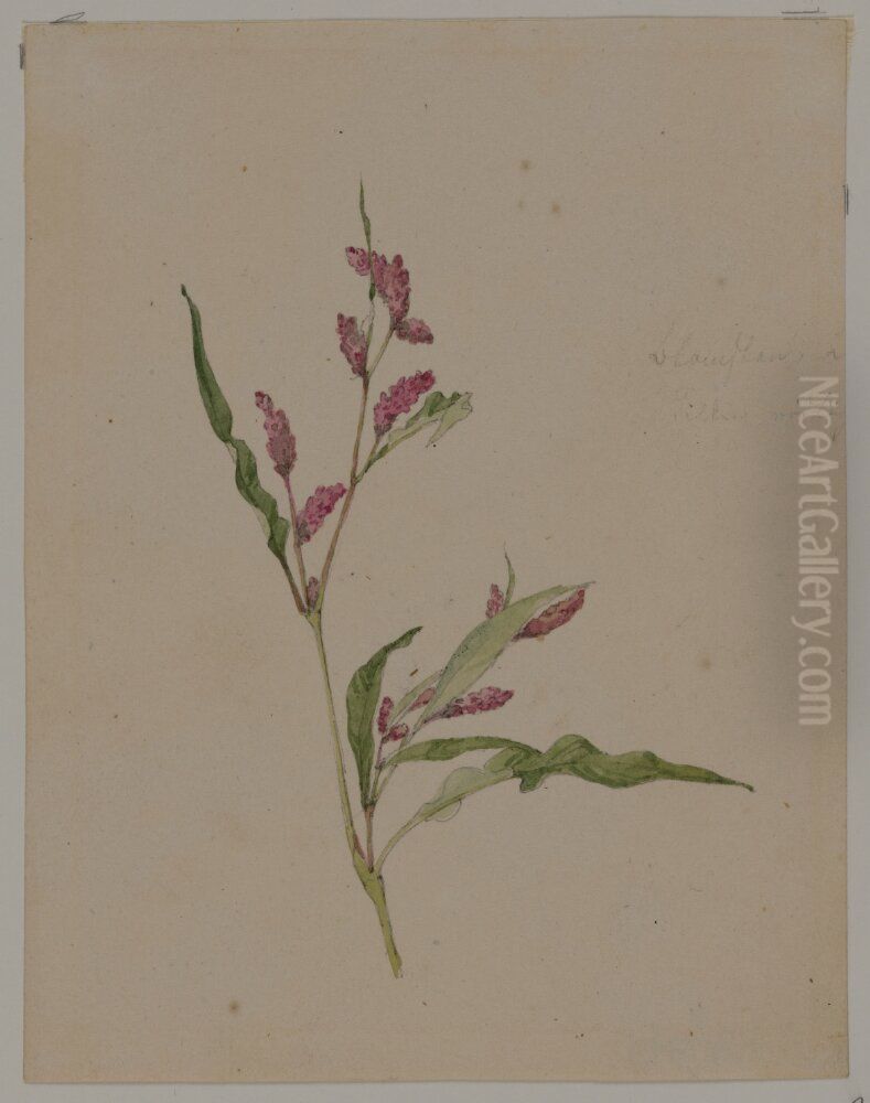 Blomsterstudie Oil Painting by Jorgen Roed