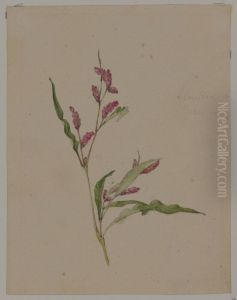 Blomsterstudie Blomsterstudie