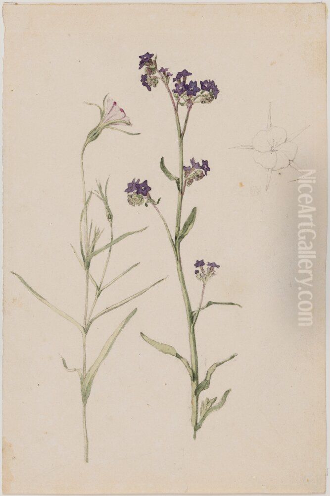 Study of Flowers, Common Corncockle and Common Bugloss Oil Painting by Jorgen Roed Study of Flowers, Common Corncockle and Common Bugloss Oil Painting by Jorgen Roed