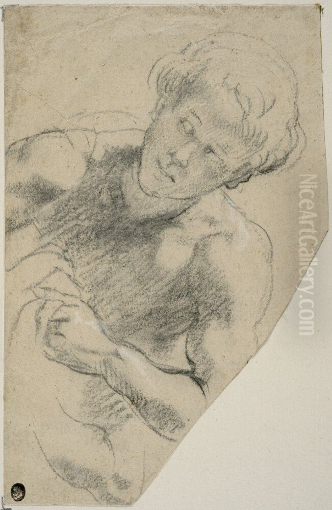 Figurstudie Oil Painting by (studio of) Rubens, Peter Paul