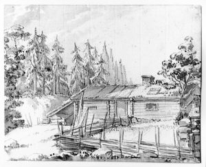 Torvtackt stuga i skogen