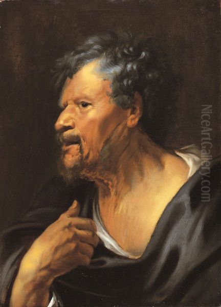 Head of an old man Oil Painting by Jacob Jordaens