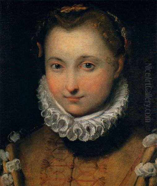 Ritratto di giovane donna Oil Painting by Federico Barocci