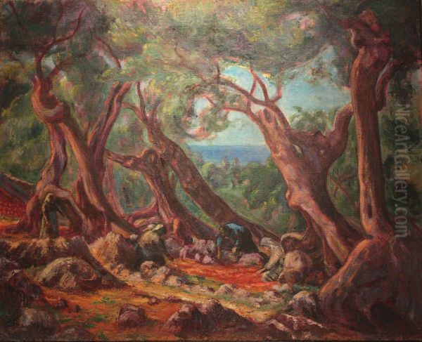 Oliviers de Majorque Oil Painting by Louis Bausil