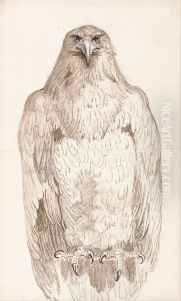 Eagle on a Perch Oil Painting by George Stubbs