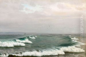 Breaking waves and seagulls.