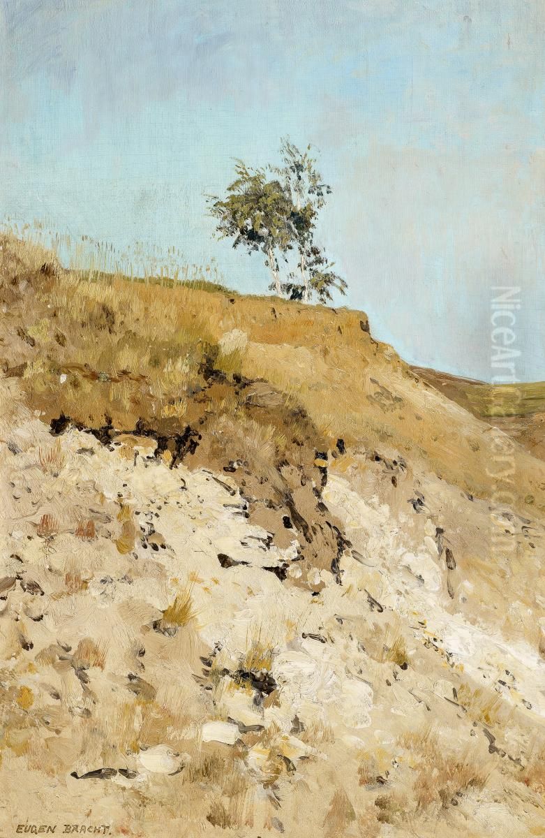 Landschaftsstudie Oil Painting by Eugen Bracht