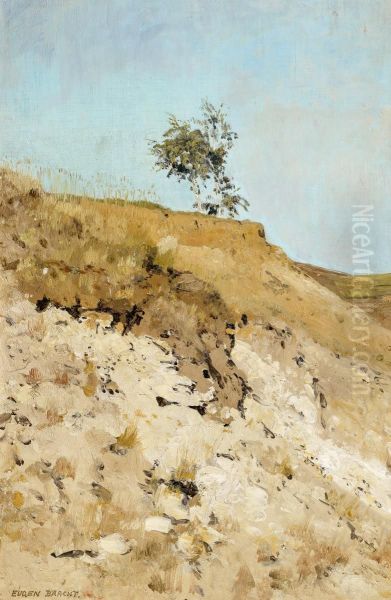 Landscape study Oil Painting by Eugen Bracht