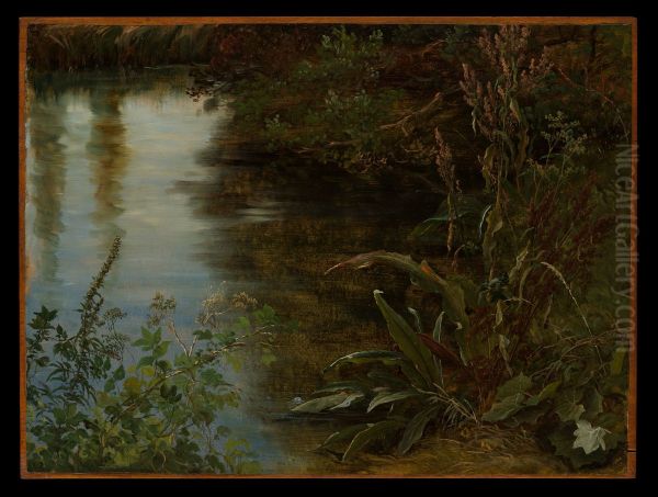 Study of Water and Plants Oil Painting by Thomas Fearnley