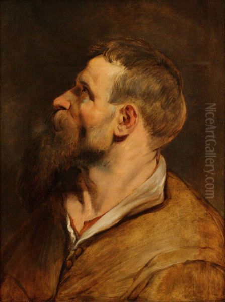 Studie hlavy muze Oil Painting by Peter Paul Rubens
