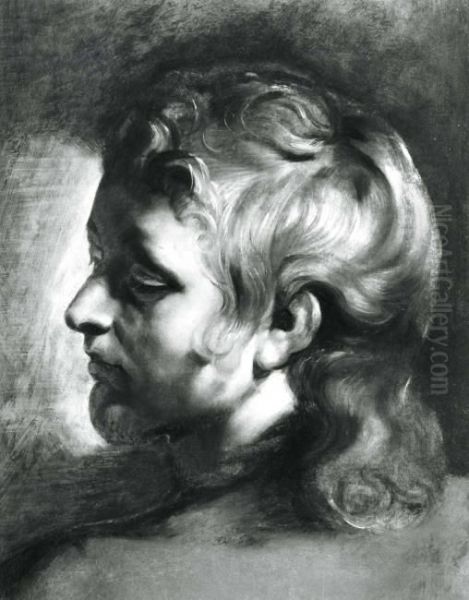 Study of the head of a young man turned to the left Oil Painting by (studio of) Rubens, Peter Paul