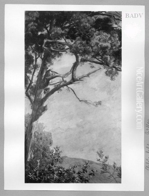 Landscape with a fir Oil Painting by Gustav Schonleber