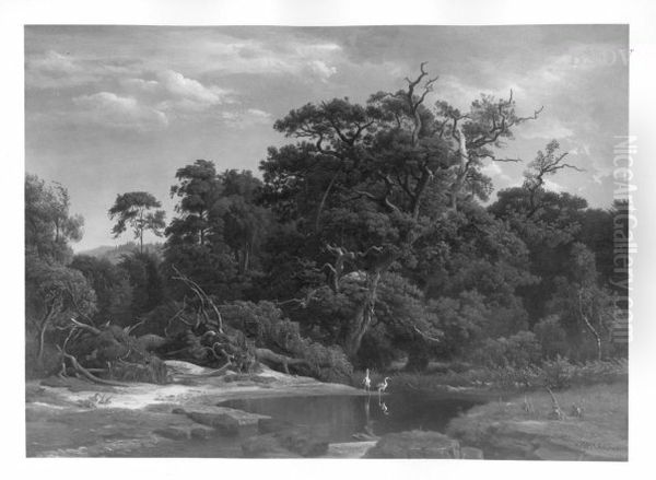 Waldlandschaft mit Weiher und Reihern Oil Painting by Johann Wilhelm Schirmer