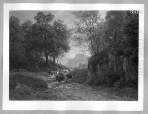 forest scenery with cows