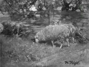 Sheep