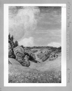 Schwarzwaldlandschaft