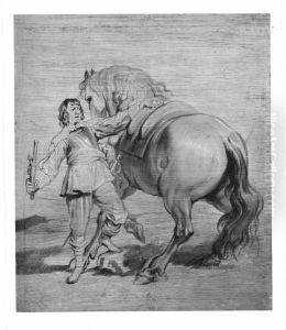 young officer holding his horse
