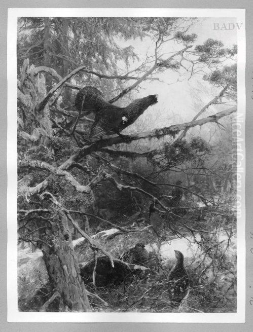 Balzender Auerhahn Oil Painting by Christian Kroner