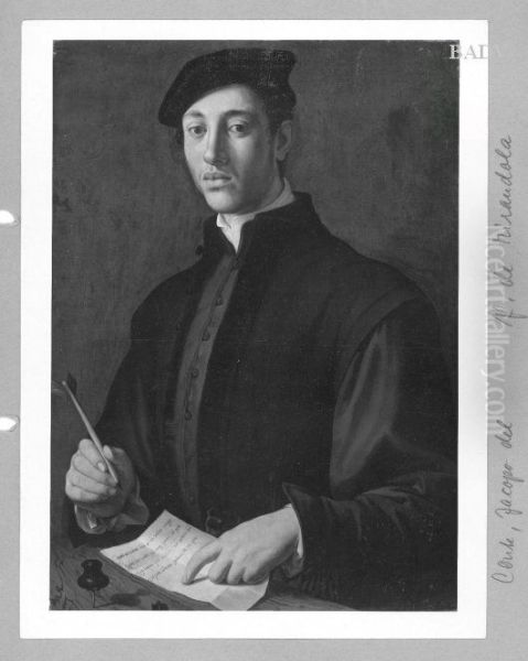 Portrait of Pico di Mirandola Oil Painting by Jacopino del Conte