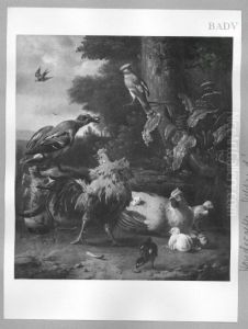 Huhner, Ente und Haher