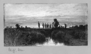 Moorlandschaft mit Pappeln