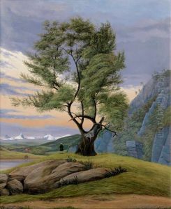 Patagonian landscape with single tree before night sky