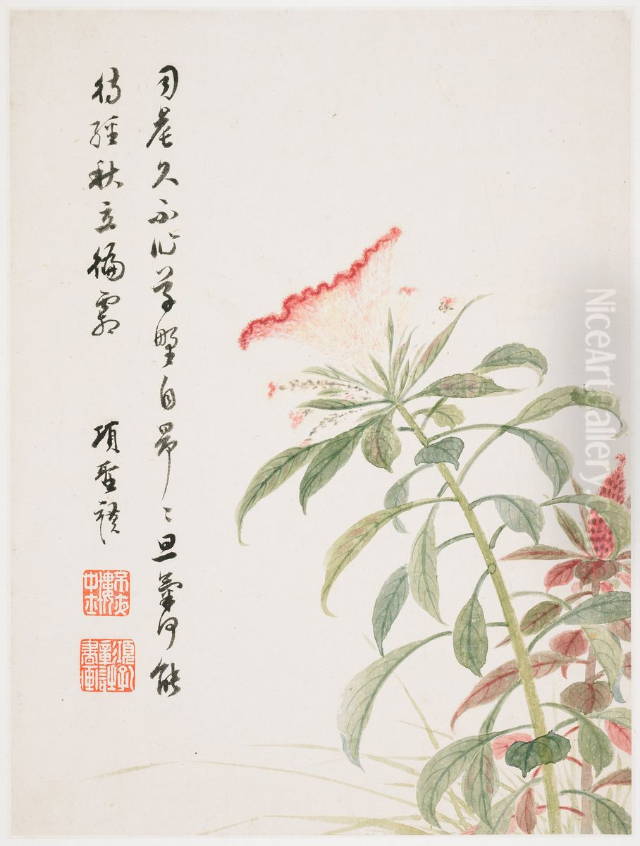 Cock's-comb from a Flower Album of Ten Leaves Oil Painting by Xiang Shengmo