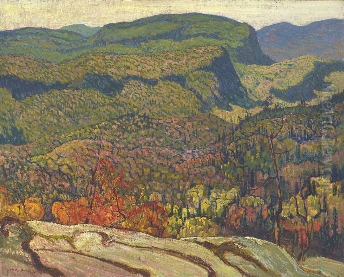 Forest Wilderness Oil Painting by J. E. H. MacDonald