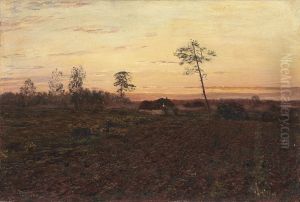 Evening