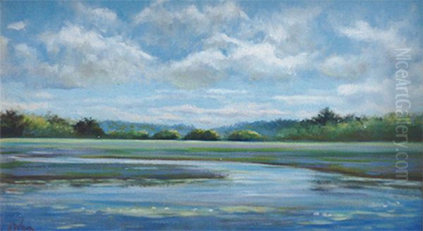Dublin Marsh Oil Painting by unknown