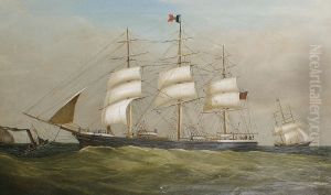 The Timaru