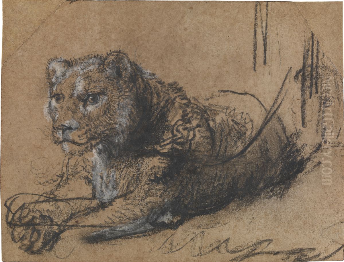 Young Lion Resting Oil Painting by Rembrandt