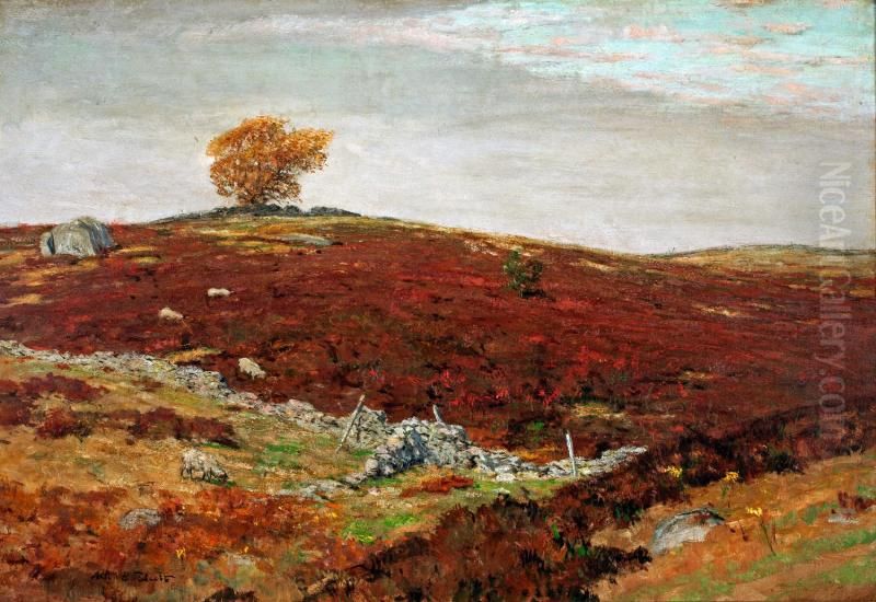 Barberry Field, Lyme, Connecticut Oil Painting by Allen Butler Talcott