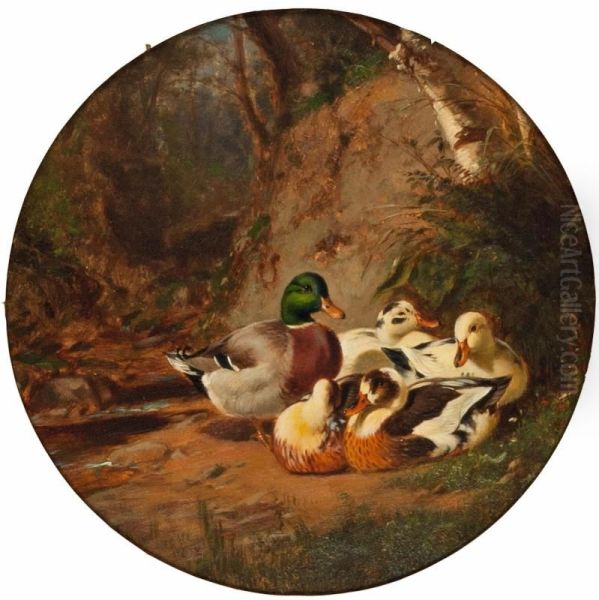 Ducks in a Wood Oil Painting by James McDougal Hart