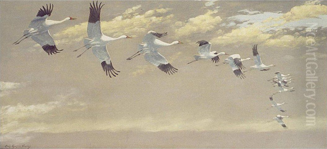 Thirteen Whooping Cranes in Flight Oil Painting by Louis Agassiz Fuertes