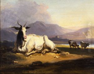 A goat sitting in a mountainous river landscape with cattle beyond