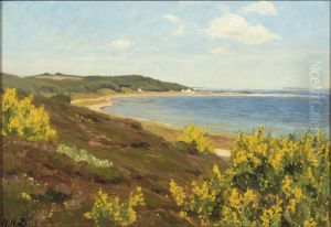 View of Legind Mountains, Mors in Denmark