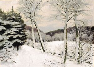 Forest in winter.