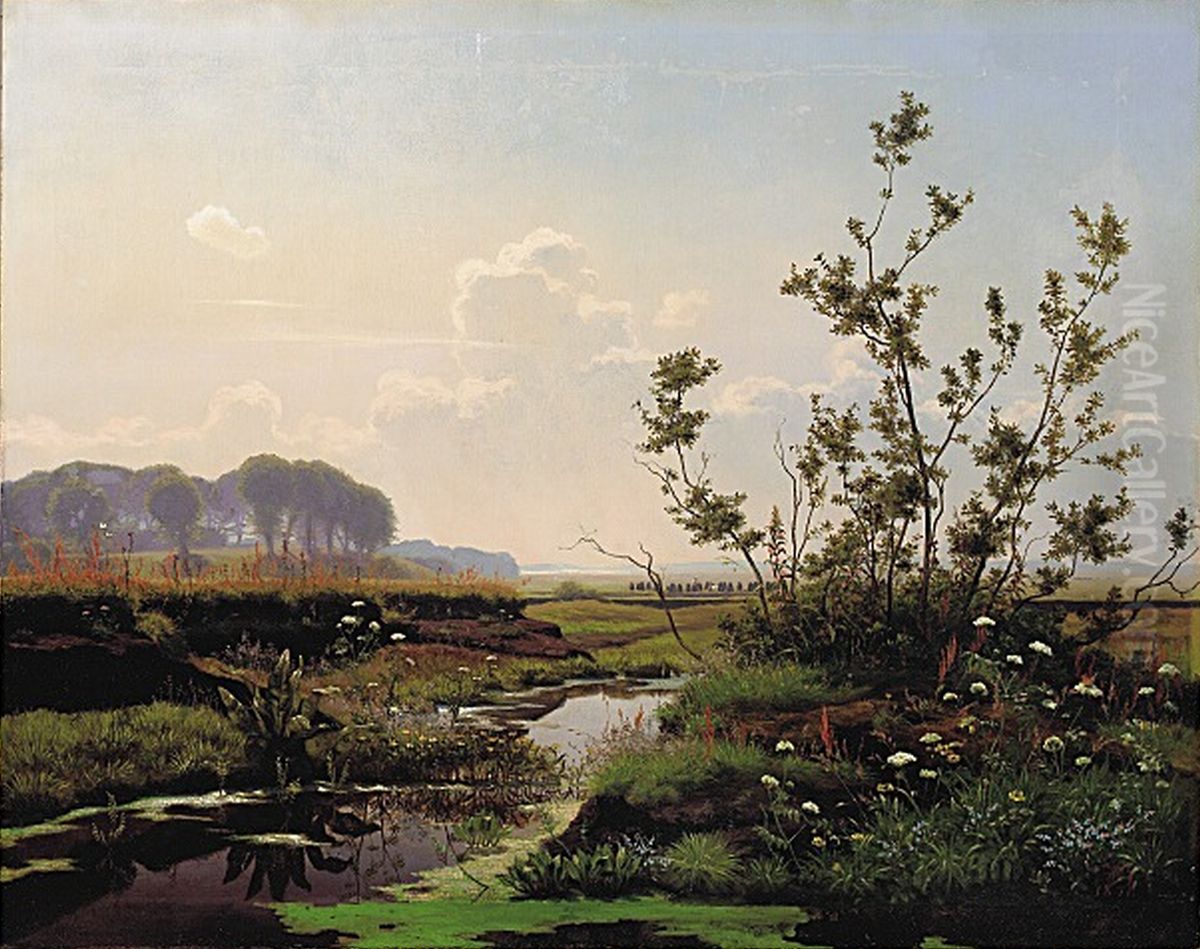 A raised bog on Zealand. Oil Painting by Hans Ole Brasen