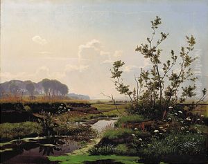 A raised bog on Zealand.