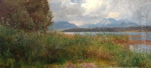 Sivstudie, Chiemsee