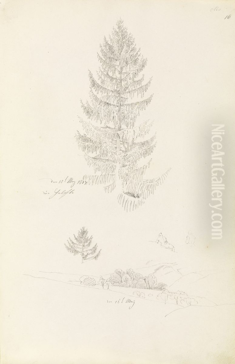 Grantre; landskap Oil Painting by Caspar David Friedrich