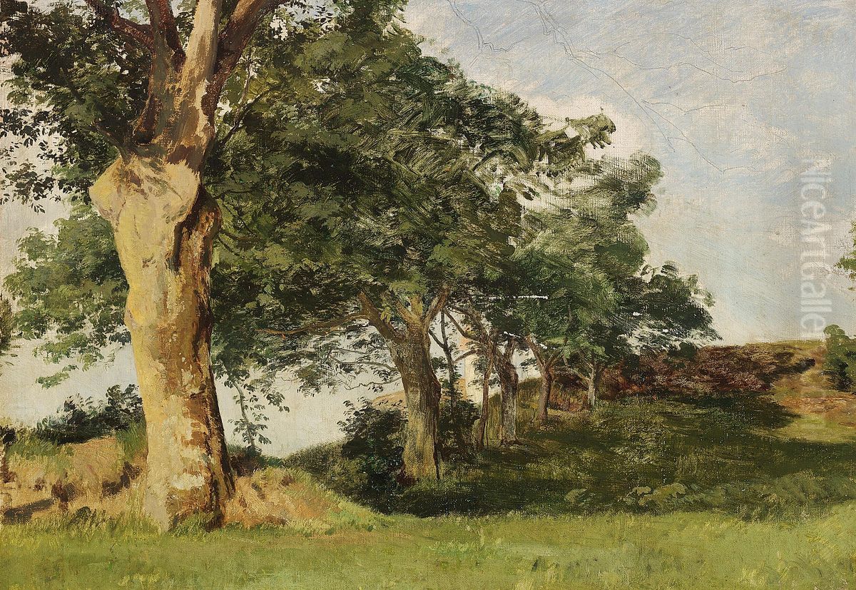 Study of trees along a fence. Oil Painting by Janus Andreas Bartholin La Cour
