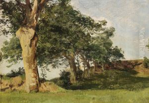 Study of trees along a fence.