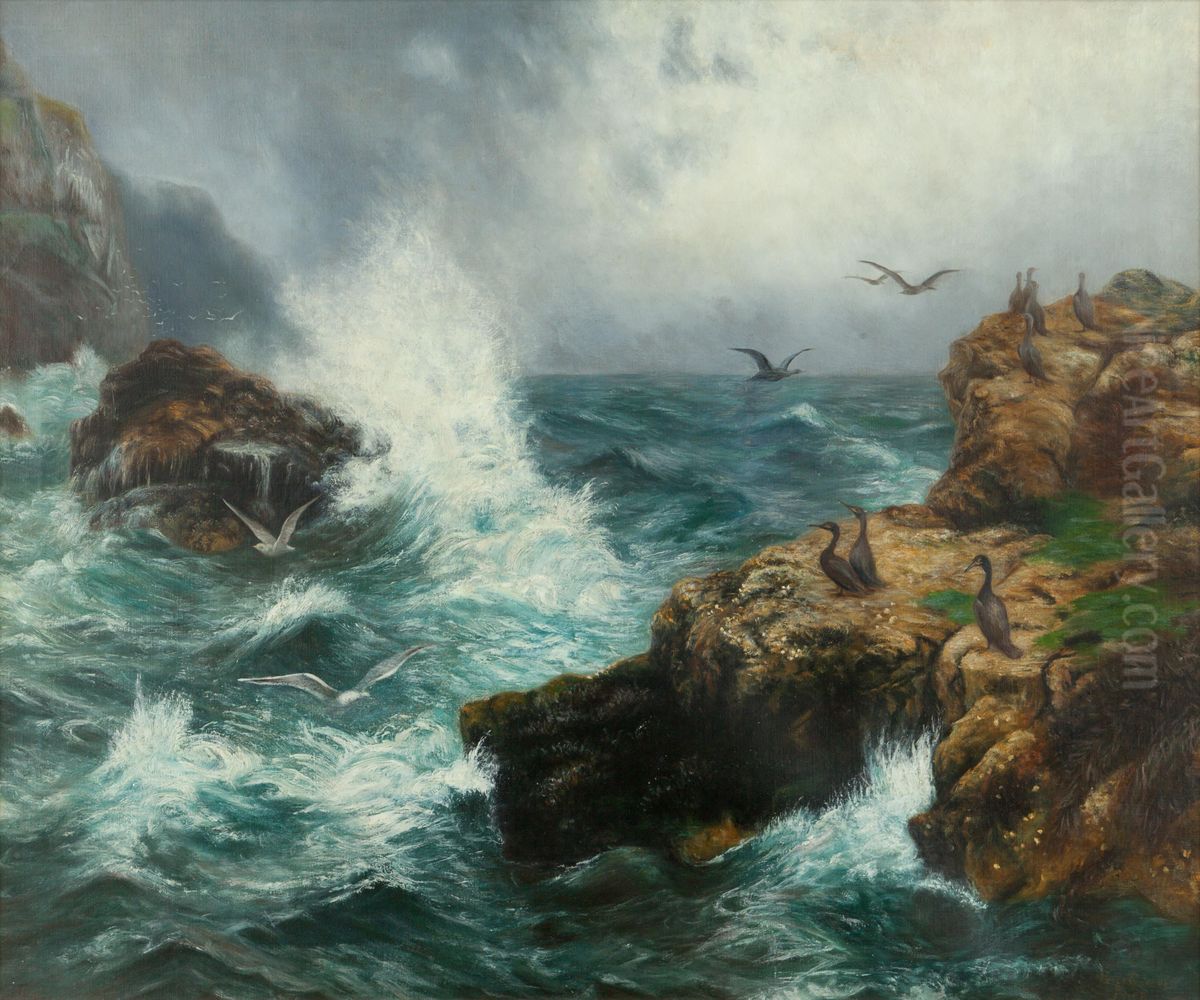 Cormorants of the Scottish Coast Oil Painting by Peter Graham