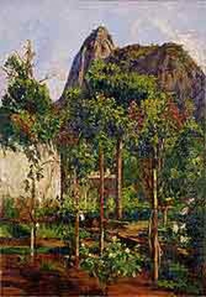 Corcovado. Oil Painting by Abigail de Andrade