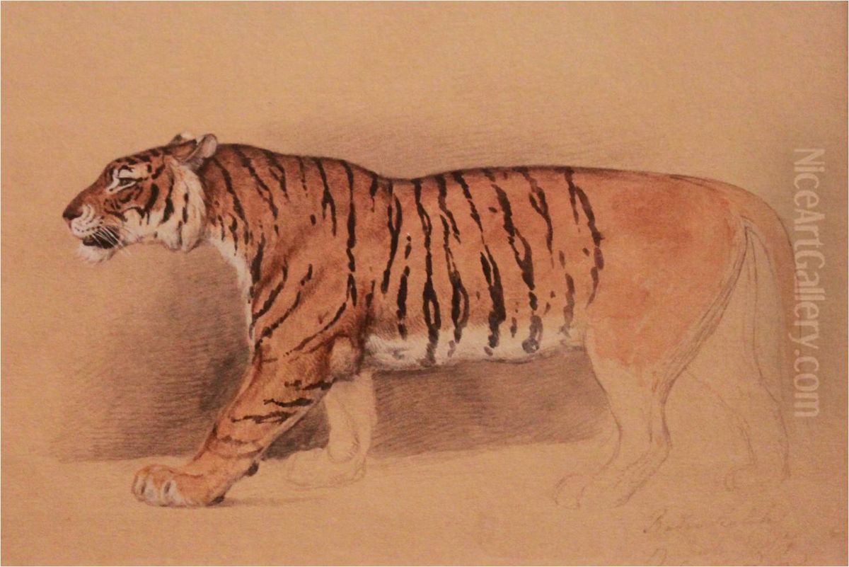 Study of a walking Tiger Oil Painting by Raden Saleh