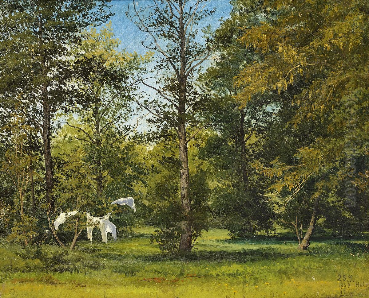 Drying space in Helgenaes Woods, Jutland. Oil Painting by Janus Andreas Bartholin La Cour