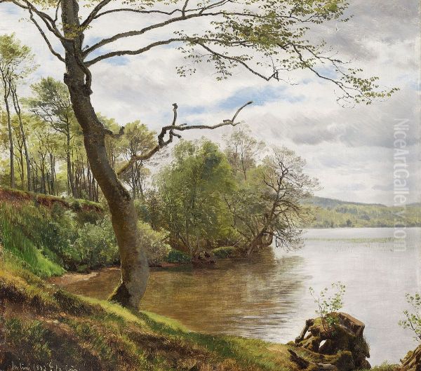 Forest lake in the summer. Oil Painting by Janus la Cour