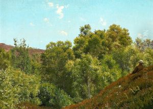 Hilly landscape with a man resting.